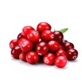 Fresh red cranberries raw organic for salads on white background Generative AI Illustration Royalty Free Stock Photo