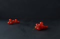 Fresh red currant on black background. Sweet summer berries Royalty Free Stock Photo