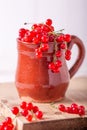Fresh red currant in a ceramic cup on a white wooden background Royalty Free Stock Photo