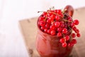 Fresh red currant in a ceramic cup on a white wooden background Royalty Free Stock Photo