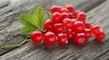 Fresh red currant Royalty Free Stock Photo