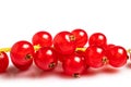 Fresh red currant isolated on white background Royalty Free Stock Photo