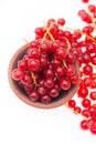 Red currants in a bowl isolated on a white background Royalty Free Stock Photo