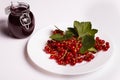 Fresh red currants and jam on a white background Royalty Free Stock Photo