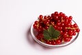 Fresh red currants and jam on a white background Royalty Free Stock Photo