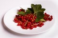 Fresh red currants and jam on a white background Royalty Free Stock Photo