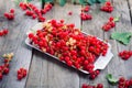 Fresh red current berries with water drops on the metal tray on the rustic wooden table. Summer vegitarian diet. Farmer harvest co Royalty Free Stock Photo
