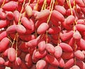 Fresh red dates Royalty Free Stock Photo