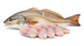 Fresh Red Drum Fish and Steaks on White Background Royalty Free Stock Photo