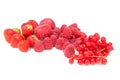 Fresh red fruits Royalty Free Stock Photo