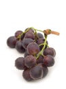 Fresh red grape Royalty Free Stock Photo
