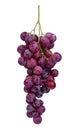 Fresh red grape isolated on white Royalty Free Stock Photo