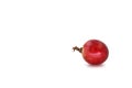 Fresh red grape isolated on white background Royalty Free Stock Photo