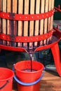 Fresh red grape juice is flowing into a bucket from a basket press