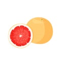 Fresh red grapefruit illustration. Isolated on white background. Royalty Free Stock Photo