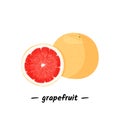 Fresh red grapefruit illustration. Isolated on white background. Royalty Free Stock Photo