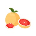 Fresh red grapefruit illustration. Isolated on white background. Royalty Free Stock Photo