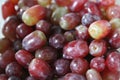 Fresh Red Grapes