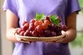 Fresh red grapes fruit holding by woman hand Royalty Free Stock Photo