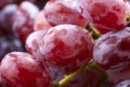 Fresh red grapes, seedless Royalty Free Stock Photo