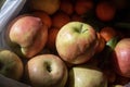 Fresh red and green apples with mandarins in background. Plastic white bag with fresh fruits. Harvest concept. Close up