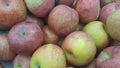 Fresh red and green Apples pile in market for sale Royalty Free Stock Photo