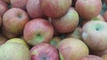 Fresh red and green Apples pile in market for sale Royalty Free Stock Photo