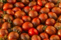 The fresh texture of red and green bright tomatoes cherry with green tomato leaves