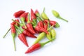 Fresh red and green chilis Royalty Free Stock Photo