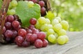 Fresh Red and Green Grapes on a Rustic Wooden Table Royalty Free Stock Photo