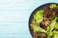 Fresh red and green lettuce on plate on blue wooden background Royalty Free Stock Photo