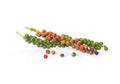 Fresh red and green peppercorns Royalty Free Stock Photo
