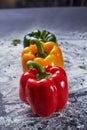 Fresh red green yellow pepper in black beautiful background Royalty Free Stock Photo