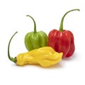 Fresh red, green and yellow scorpion chili peppers on white background