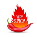 Fresh red hot chili pepper. Kitchen organic vector spicy taste chili mexican pepper with flame fire