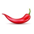 Fresh red hot chili pepper. Kitchen organic vector spicy taste chili mexican pepper