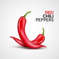 Fresh red hot chili pepper. Kitchen organic vector spicy taste chili mexican pepper