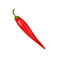 Fresh red hot chili pepper. Spicy vegetable. Natural food. Cooking ingredient. Organic product. Flat vector icon Royalty Free Stock Photo