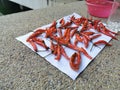 the fresh red hot chili sundries for white background