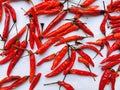 the fresh red hot chili sundries for white background