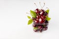 Fresh red juicy cherries with green leaves and tails in transparent plastic box on soft light white wood board, copy space. Royalty Free Stock Photo