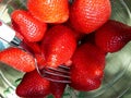 Fresh Red Juicy Tasty Yummy Scrumptious Strawberries Royalty Free Stock Photo