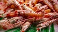 Fresh red king tiger shrimp close up lying on ice Royalty Free Stock Photo