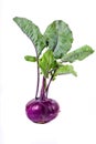 Fresh red kohlrabi isolated on white background. Healthy food Royalty Free Stock Photo