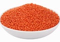 Fresh red lentil on transparent background