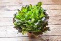 Fresh red lettuce Bush Oak leaves on a wooden table. Copy space Royalty Free Stock Photo