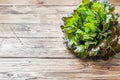 Fresh red lettuce Bush Oak leaves on a wooden table. Copy space Royalty Free Stock Photo