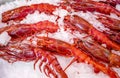 Fresh red lobsters in ice