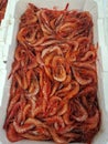 Fresh red mediterranean shrimps in a box at fish market Royalty Free Stock Photo