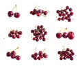 Fresh red merry berries, sweet cherry set Royalty Free Stock Photo